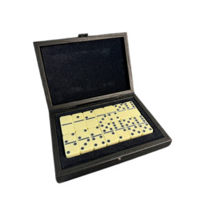 Domino Game Set